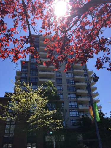 Lansdowne地铁站2房2卫 自住房整租